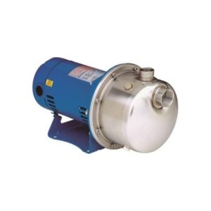 Goulds Series Pump, 1 HP, 115-230 Volt,